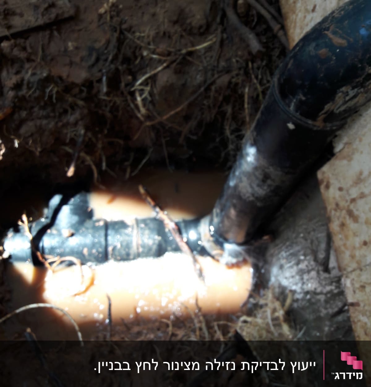 צינור שחור בתעלה עם מים ובוץ